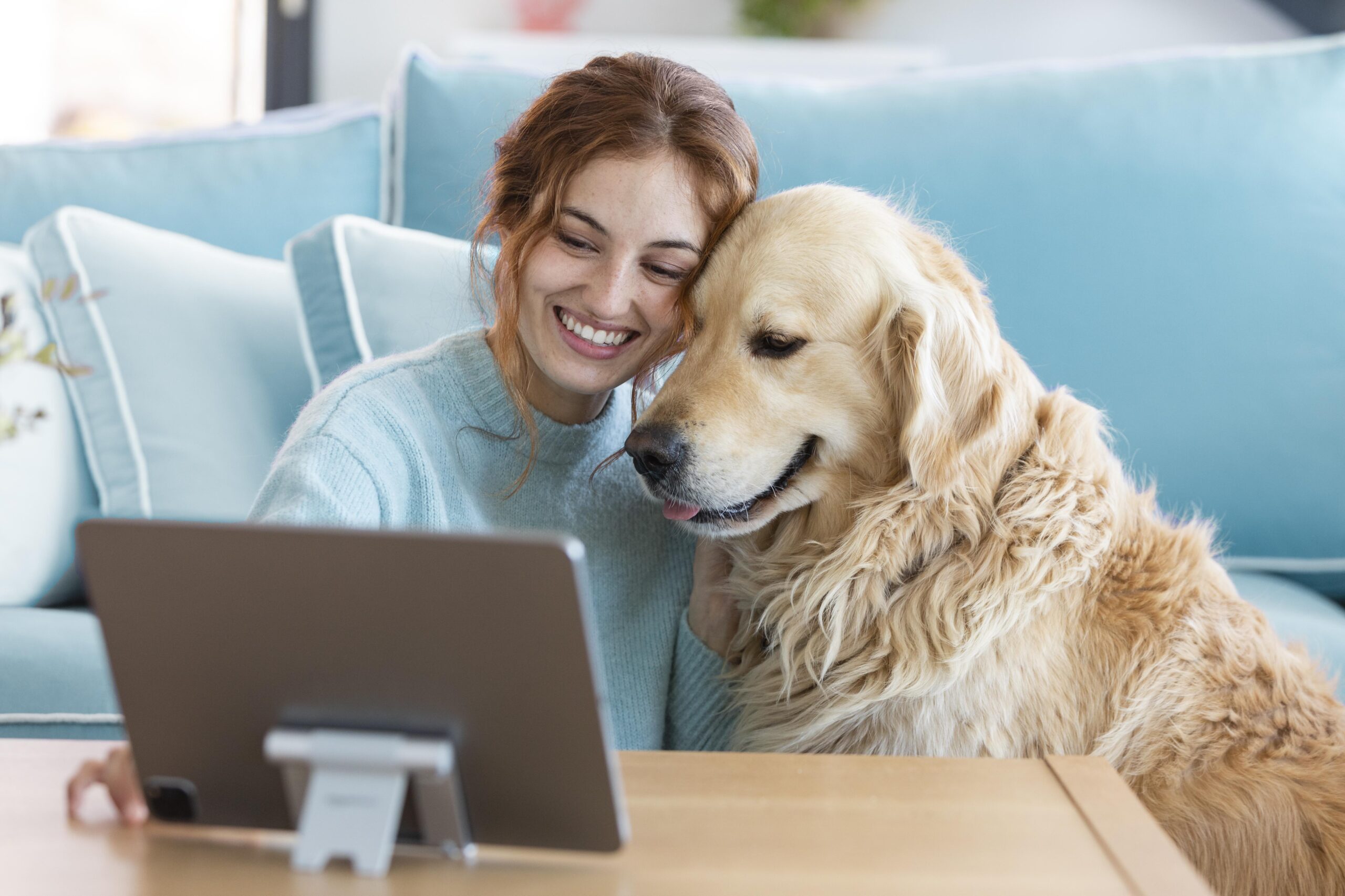 Infoprodutos para pets: como lucrar com o mercado bilionário de animais de estimação